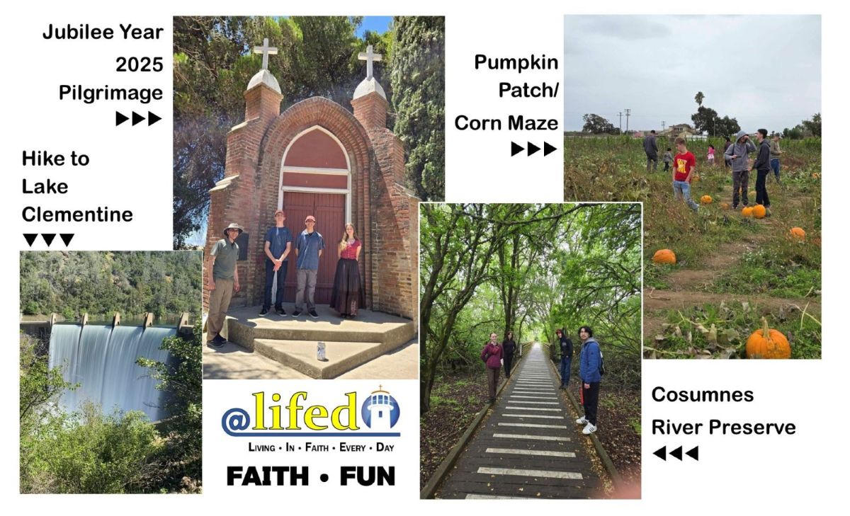 @LIFED - Faith & Fun